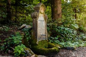 Kozorogov izvir (Arhiv Občine Kozje)